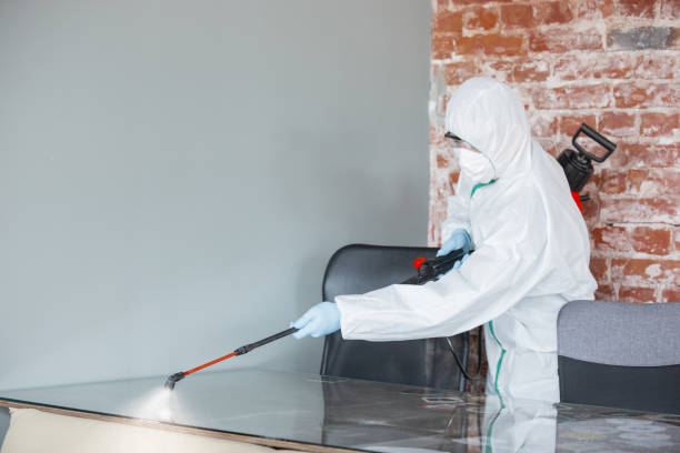 Best Commercial Mold Inspection  in USA